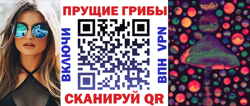 Псилоцибиновые грибы прущие грибы  купить   площадка официальный сайт  Гулькевичи 
