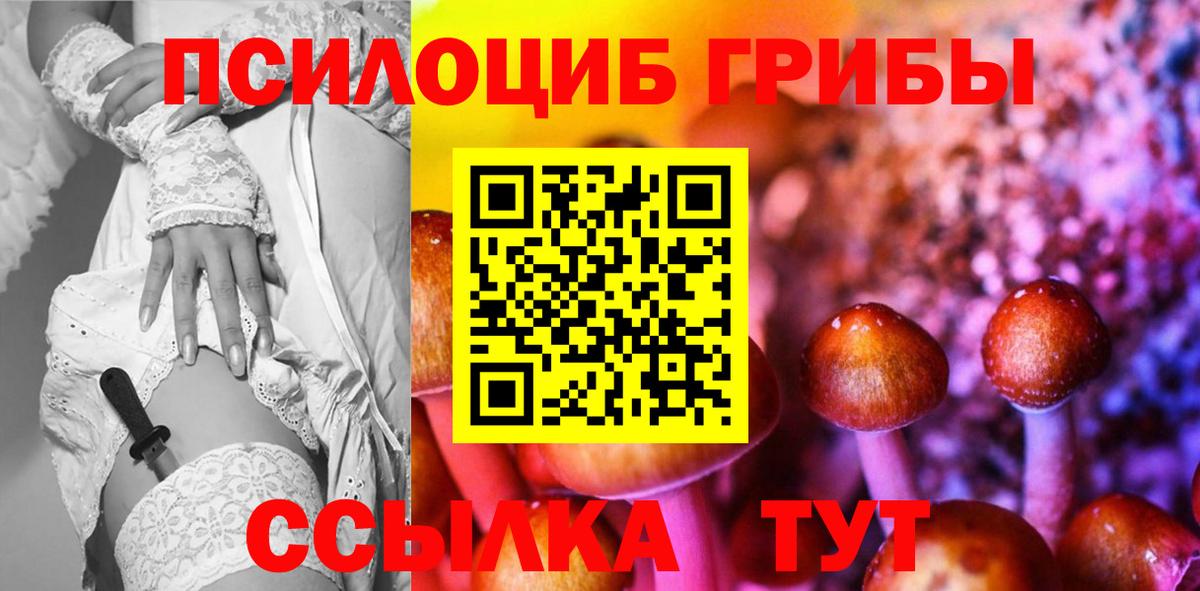 Галлюциногенные грибы Psilocybe Гулькевичи