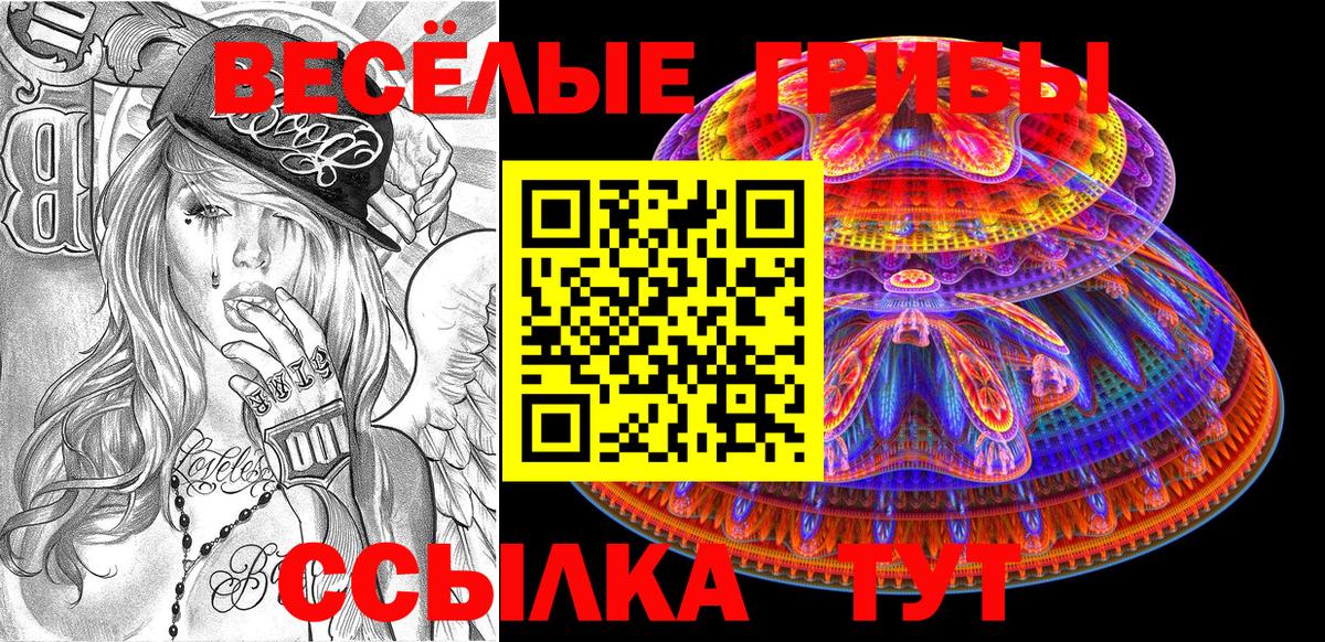 Гулькевичи  Псилоцибиновые грибы Psilocybine cubensis  Вход с VPN 